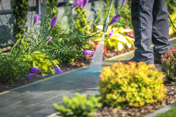 Trusted West Clarkston Highland, WA Pressure Washing Services Experts
